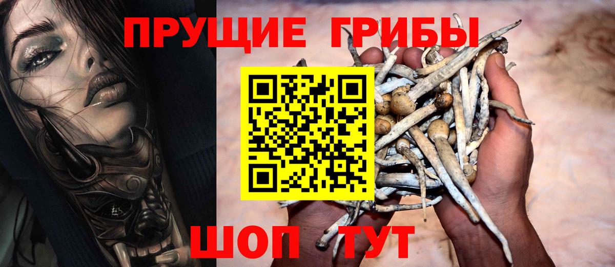 Галлюциногенные грибы Magic Shrooms  Вход с VPN  Артёмовский  что такое наркотик  Галлюциногенные грибы MAGIC MUSHROOMS 